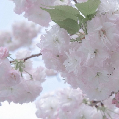 忻府福瑞交流群